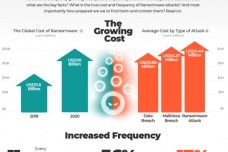 构筑数字时代的铜墙铁壁 网络安全与信息安全软件开发探析